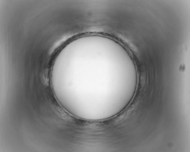 X0000093151262200710241355