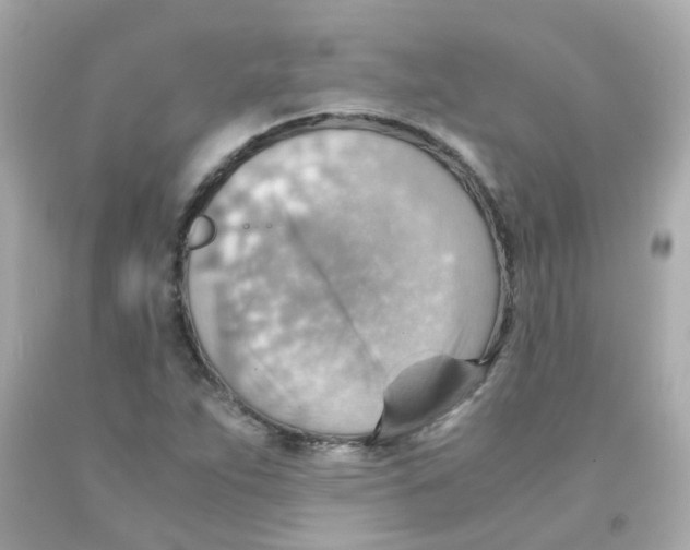 X0000093151263200710241355