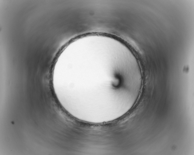 X0000093151264200710241355