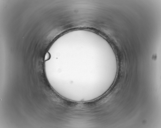 X0000093151265200710241355