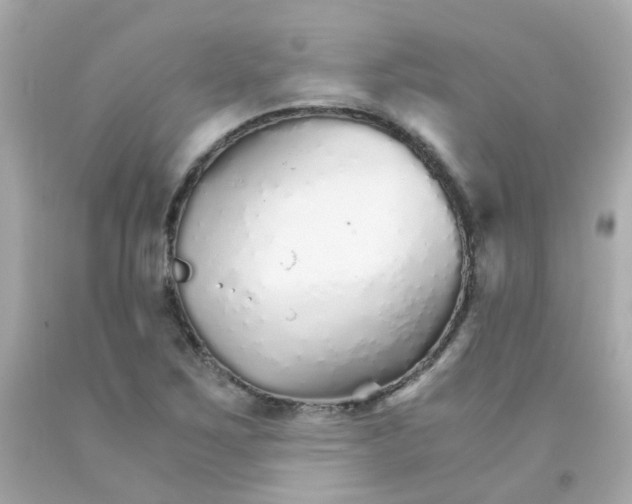 X0000093151267200710241355