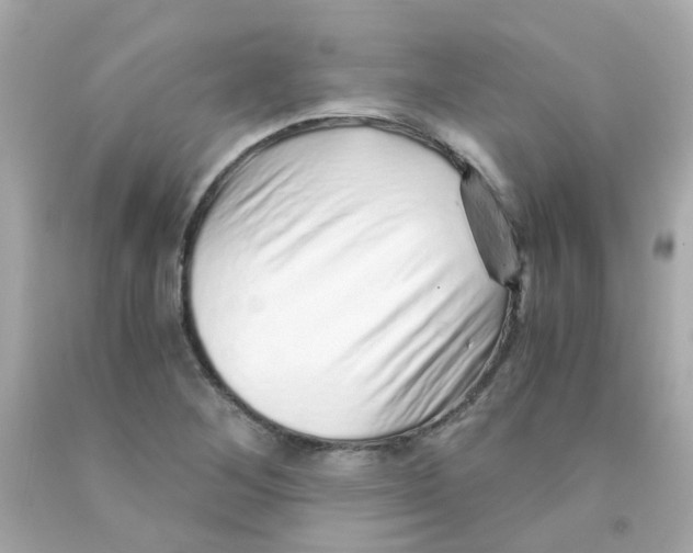 X0000093151268200710241355