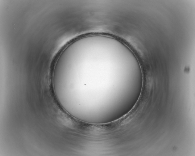 X0000093151270200710241355