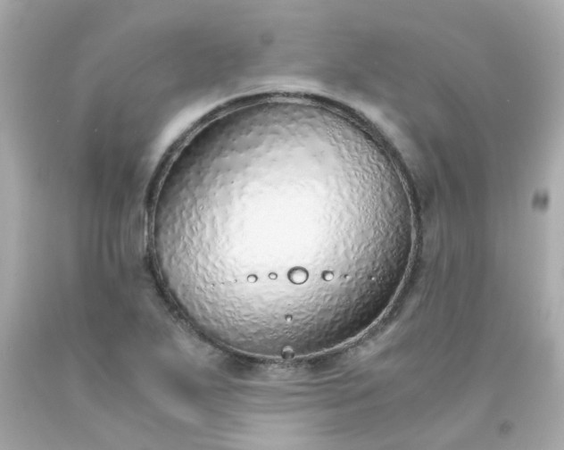 X0000093151271200710241355