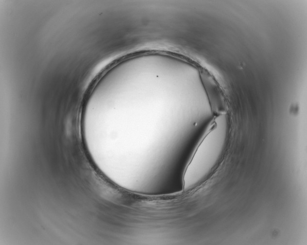 X0000093151272200710241355