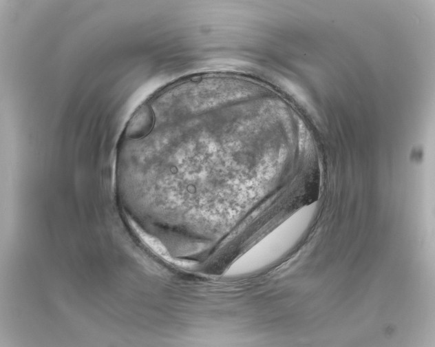 X0000093151275200710241355