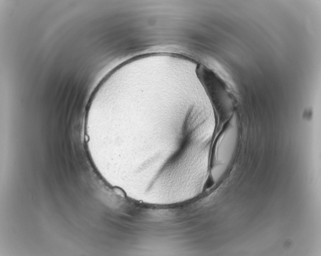 X0000093151276200710241355