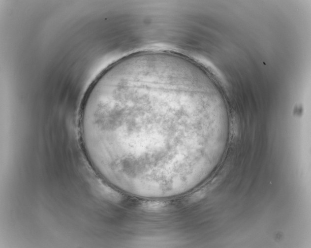 X0000093151278200710241355