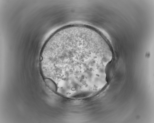 X0000093151279200710241355