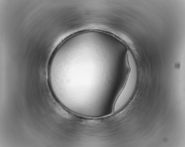 X0000093151280200710241355