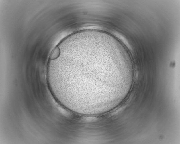 X0000093151282200710241355