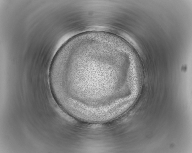 X0000093151283200710241355