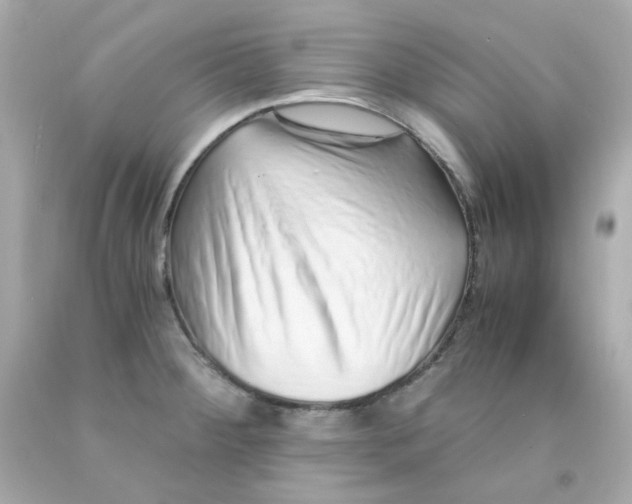 X0000093151284200710241355