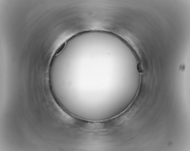 X0000093151285200710241355