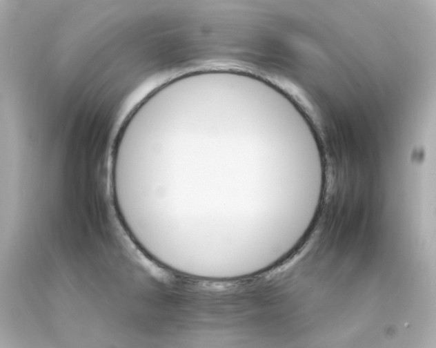 X0000093151286200710241355