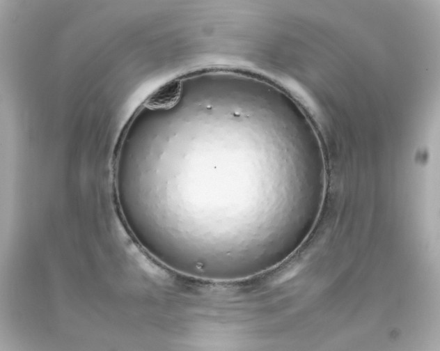 X0000093151287200710241355