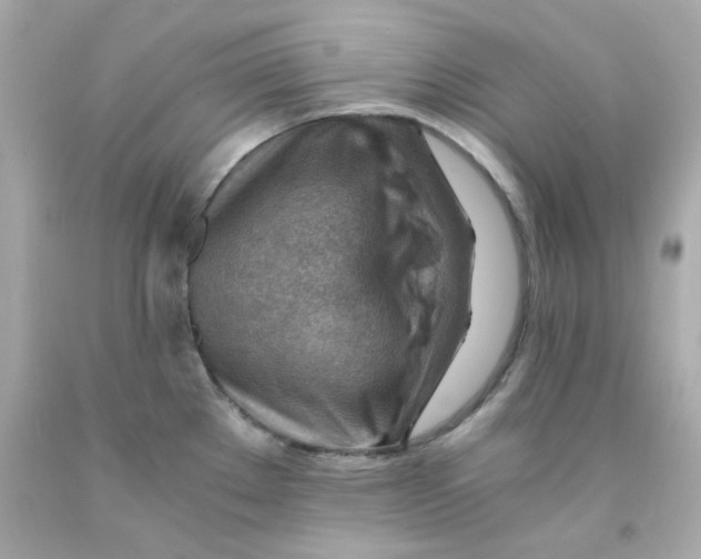 X0000093151289200710241355