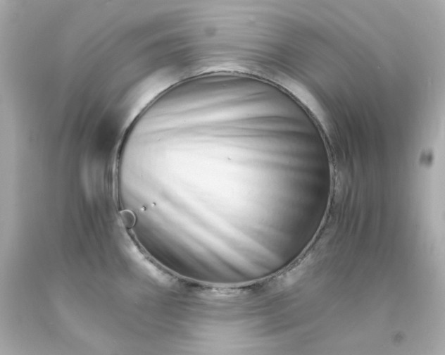 X0000093151290200710241355