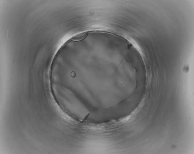 X0000093151291200710241355