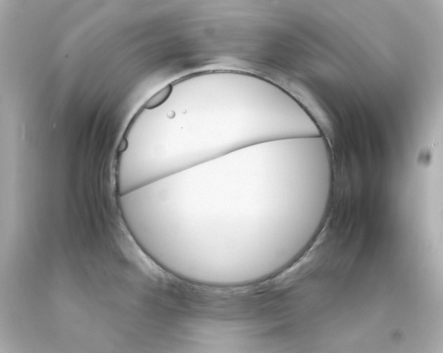 X0000093151292200710241355