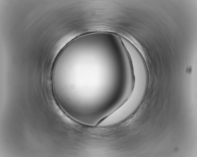 X0000093151293200710241355