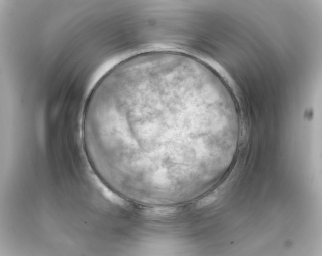 X0000093151294200710241355