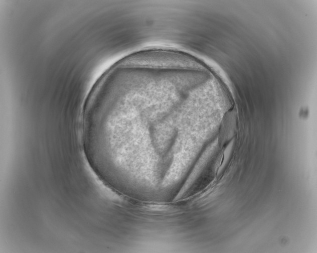 X0000093151295200710241355