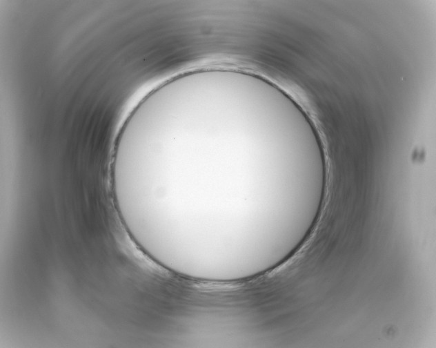 X0000093151296200710241355