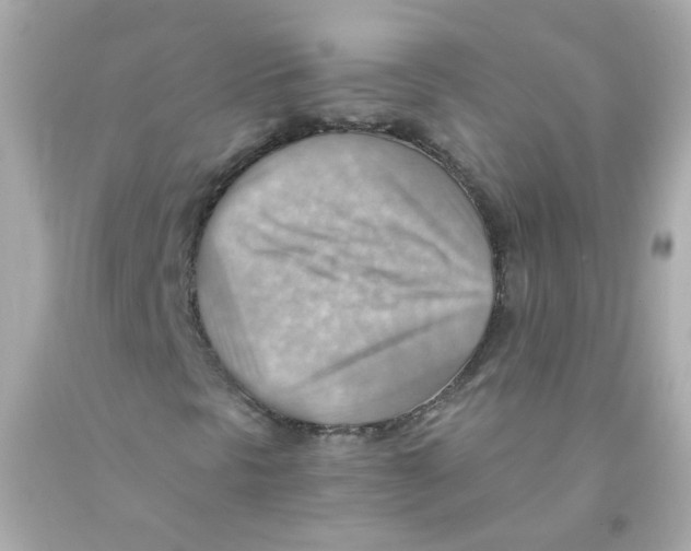 X0000093151297200710241354