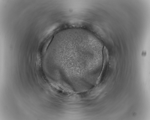 X0000093151298200710241354