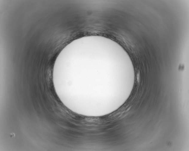 X0000093151299200710241354