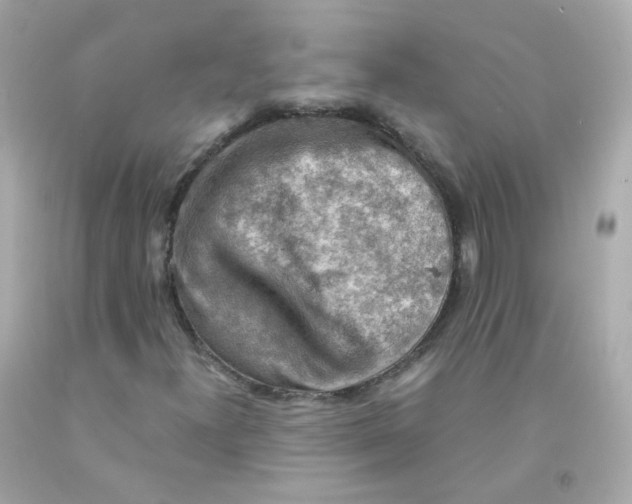 X0000093151300200710241354