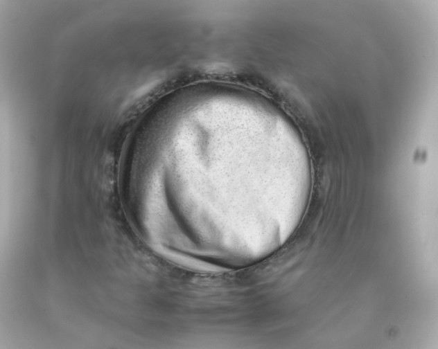 X0000093151301200710241354