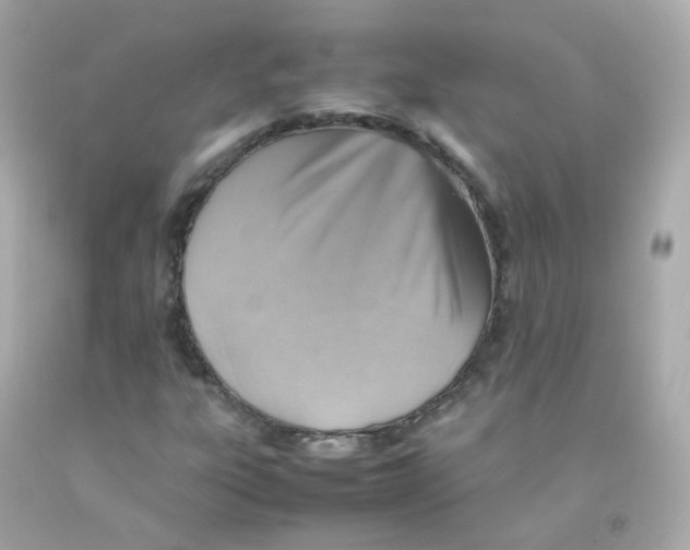 X0000093151303200710241354