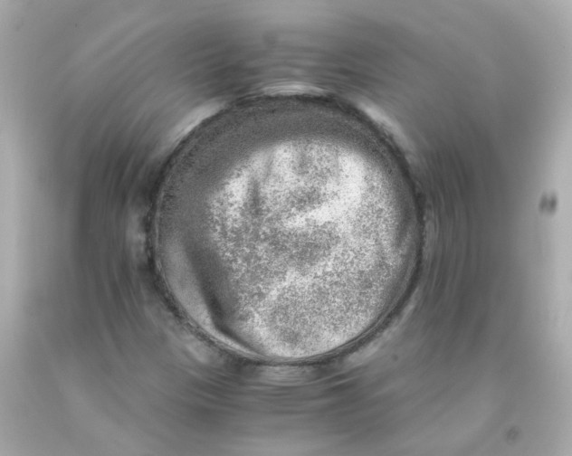 X0000093151305200710241354