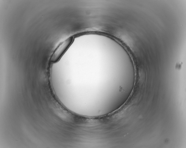 X0000093151308200710241354