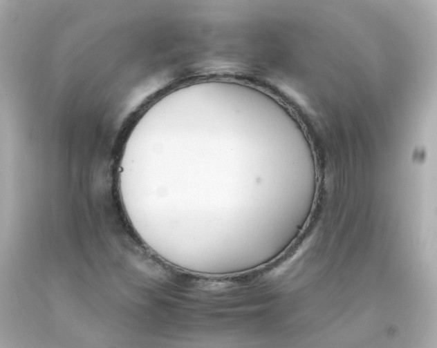 X0000093151309200710241354