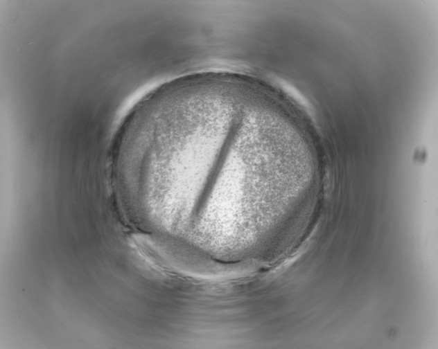 X0000093151310200710241354