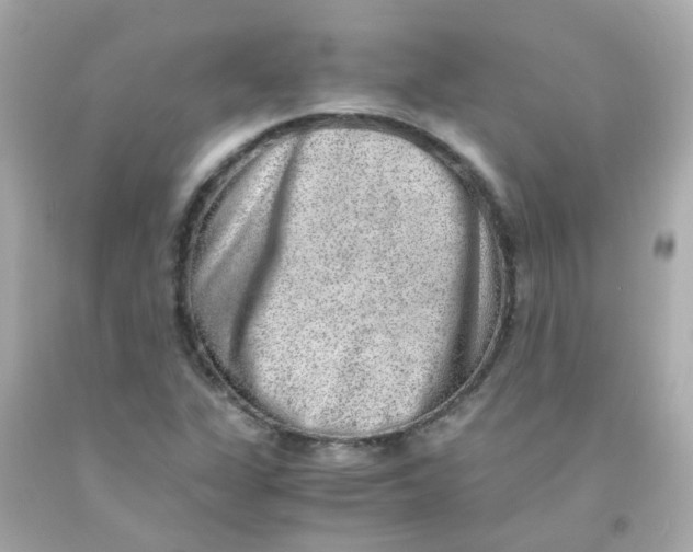 X0000093151311200710241354