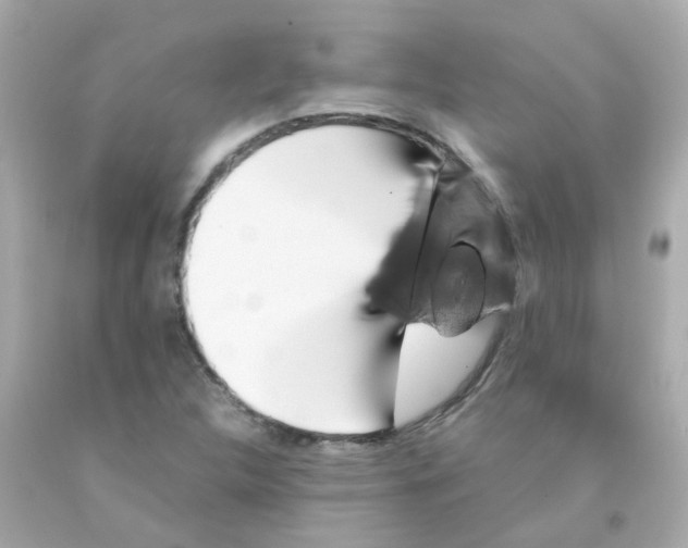 X0000093151312200710241354