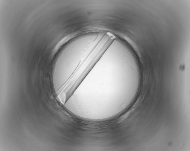 X0000093151314200710241354