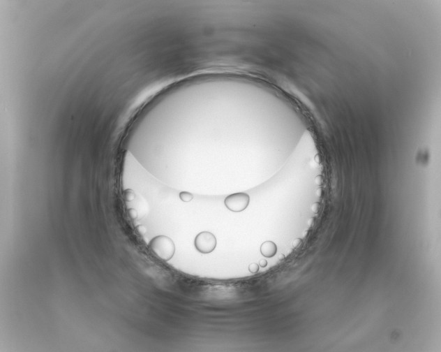 X0000093151315200710241354