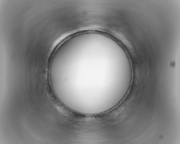 X0000093151316200710241354