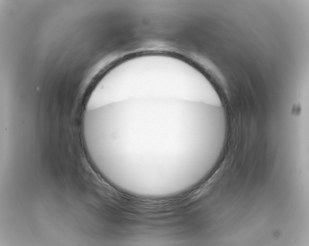 X0000093151318200710241354