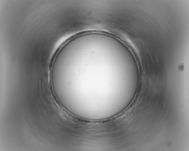 X0000093151320200710241354