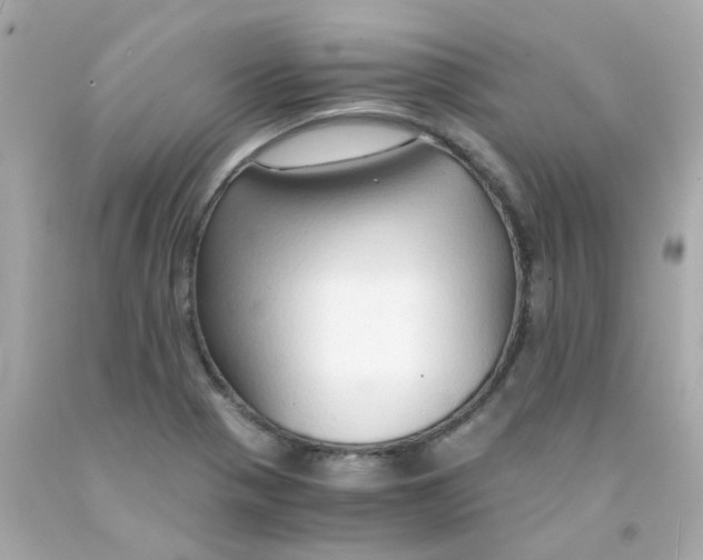 X0000093151321200710241354