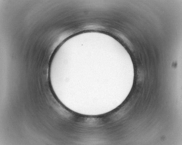 X0000093151322200710241354