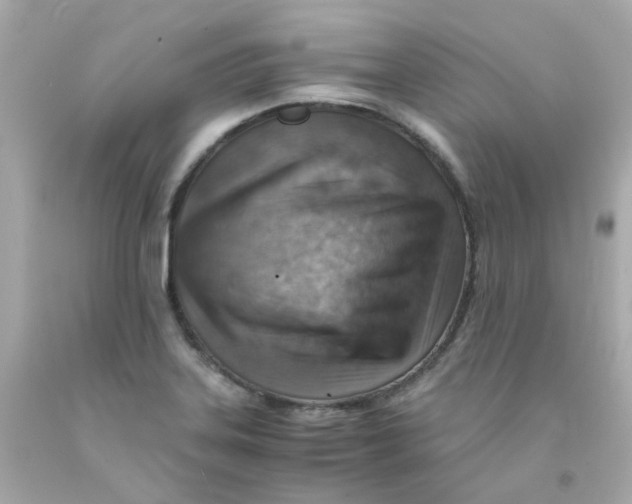 X0000093151323200710241354