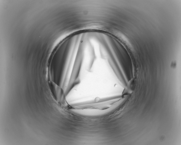 X0000093151324200710241354