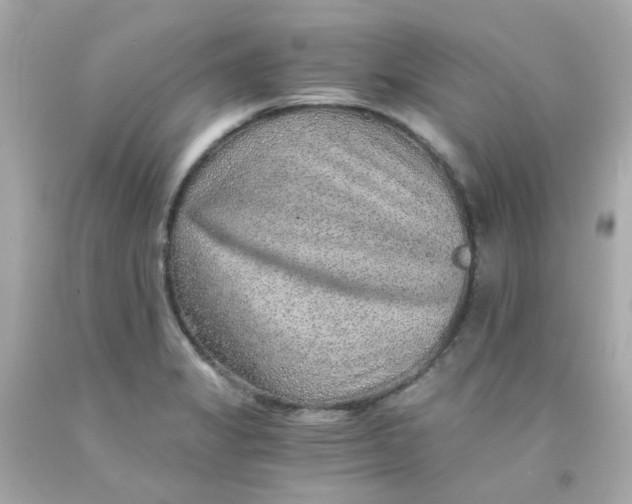 X0000093151325200710241354